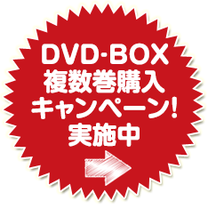 DVD-BOX複数巻購入キャンペーン！実施中