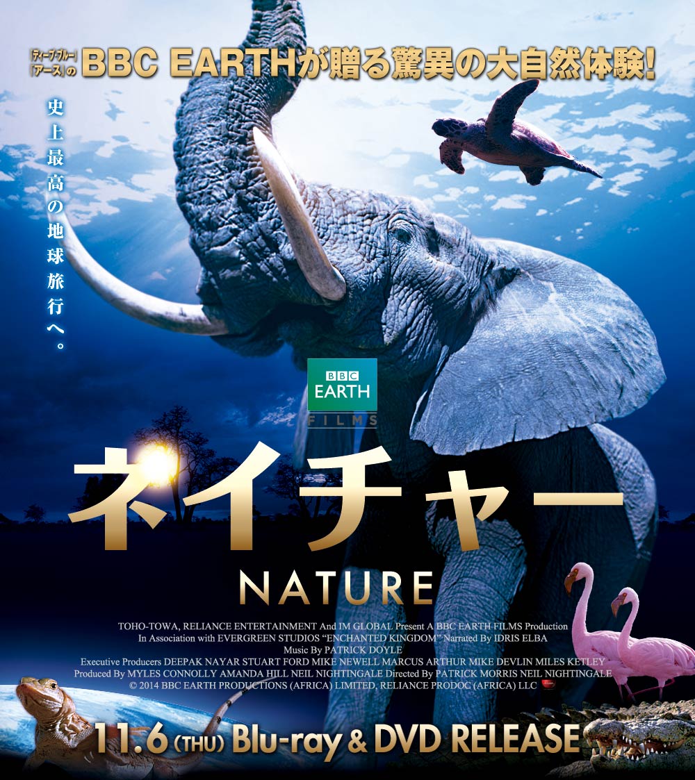 『ディープブルー』『アース』のBBC EARTHが贈る驚異の大自然体験！ 『ネイチャー』11.6(THU) ブルーレイ&DVD RELEASSE
