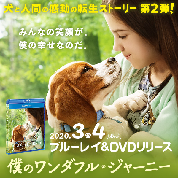 僕のワンダフル・ジャーニー』2020.3.4[Wed] Blu-ray＆DVD RELEASE