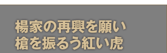 楊家の再興を願い槍を振るう紅い虎