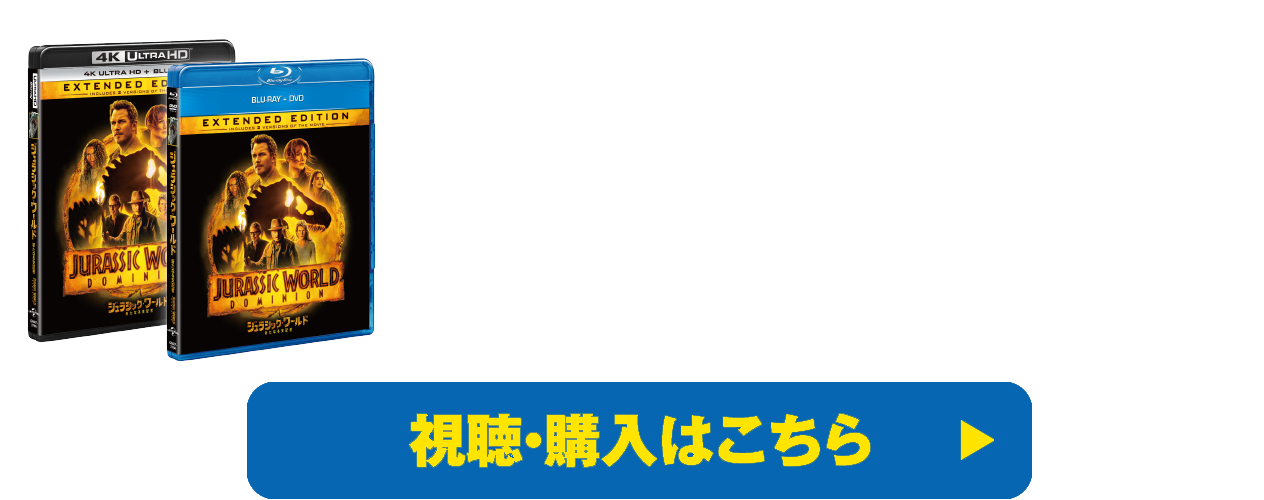 購入／視聴はこちら