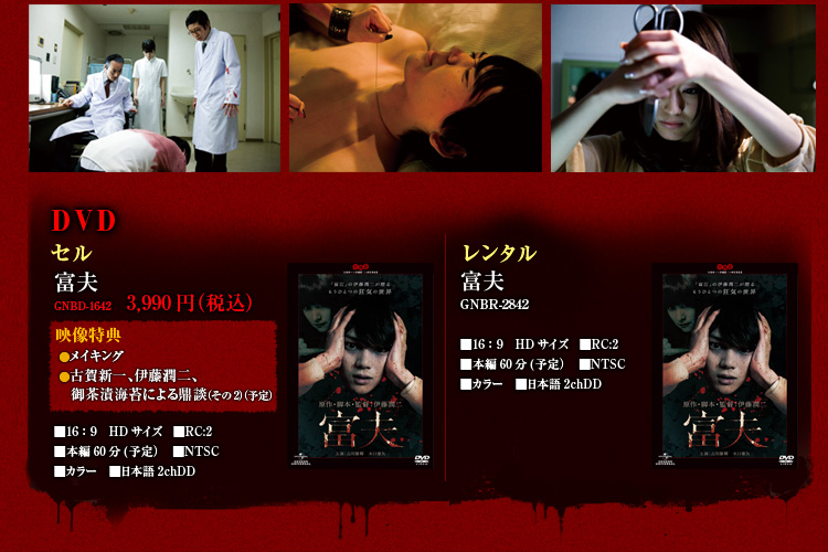 DVD ZuÏvxv@3,990~iōj