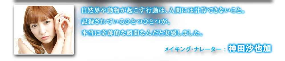 メイキング・ナレーター：神田沙也加