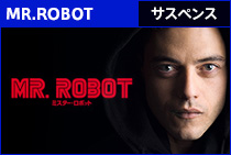 MR.ROBOT