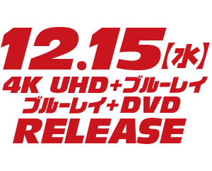 ワイルド・スピード ジェットブレイク ブルーレイ+DVD('21米)〈2枚組〉 ワイルド・スピード/ジェットブレイク(Blu-ray Disc) 中古DVD