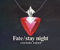 Fate/stay night@curtain raiseri萶Yj